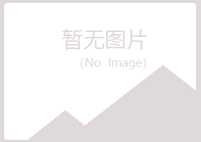 宜君县夜山咨询有限公司